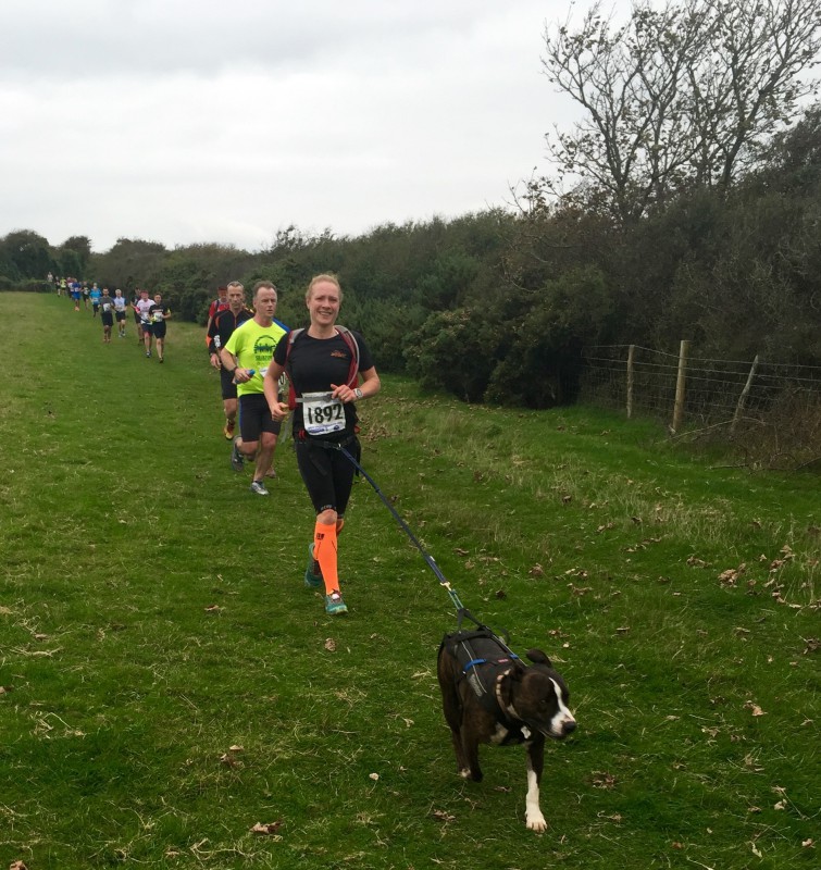 Canicrossing round the Beachy Head Marathon