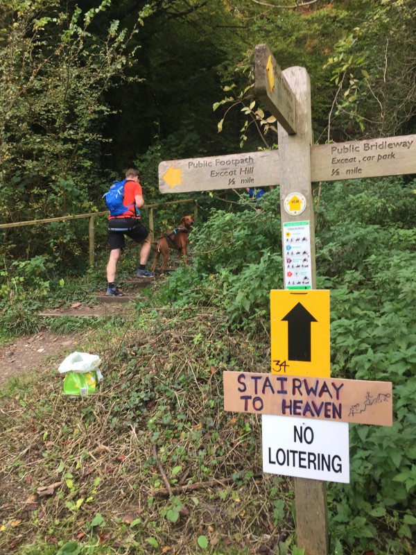 A Canicrosser running up some steps by a footpath sign 