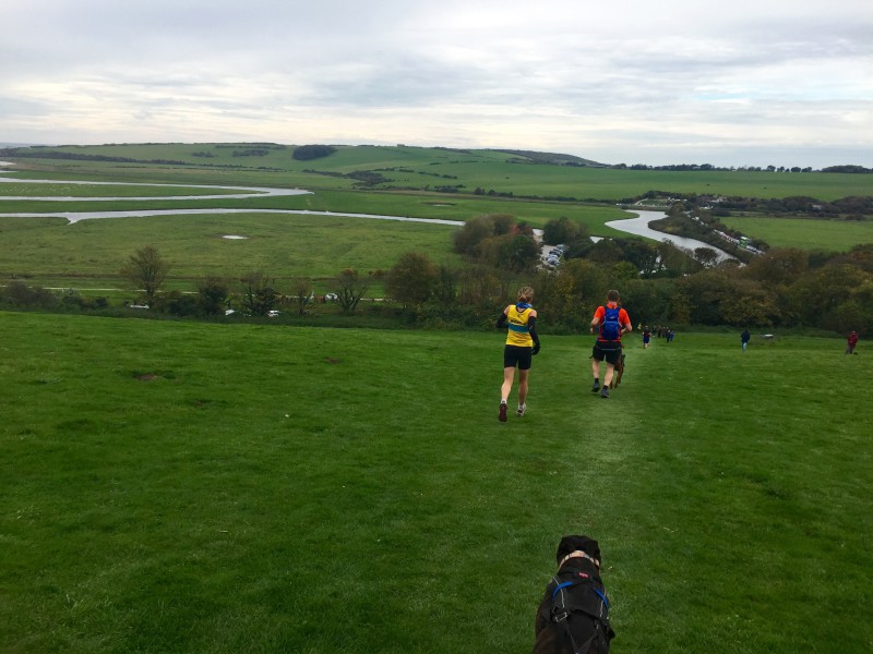 Canicrossers running across a field