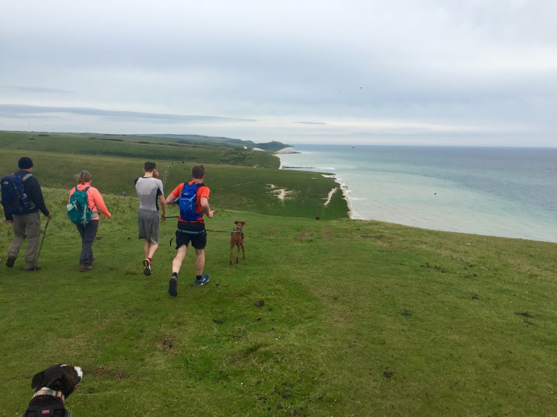 Canicrossers running along the cliff top