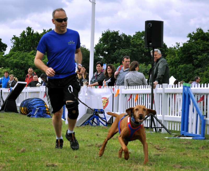 Team Hank at Dogfest