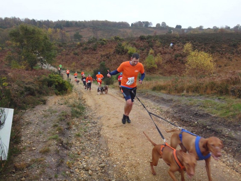 Canicross, Brutal 10km, Long Valley