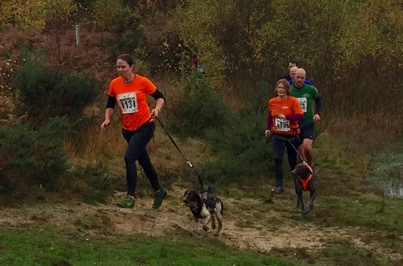 Dogfit canicrossers at Brutal Long Valley