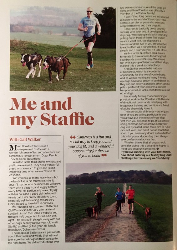 Photo of a magazine article 'Me and my Staffie' including two pictures of people Canicrossing