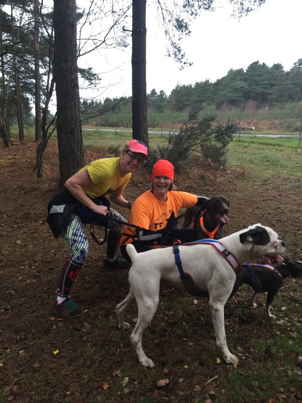 Two Canicrosser and there dogs posing for a picture in the trees