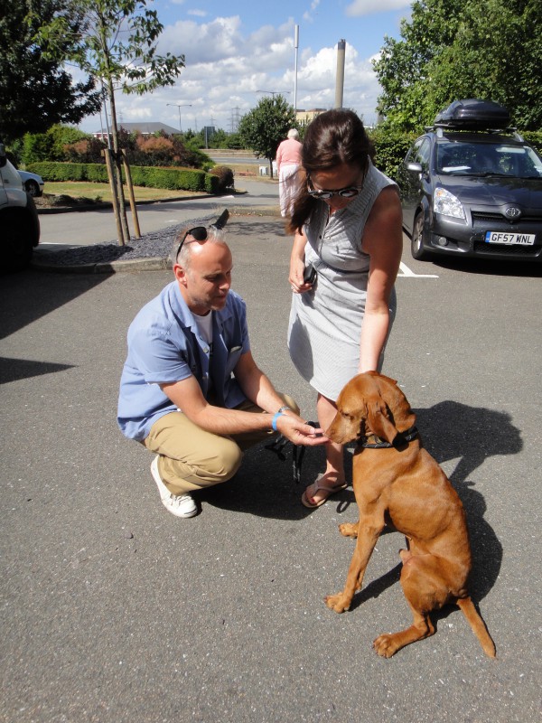 Canicross for rescue dogs