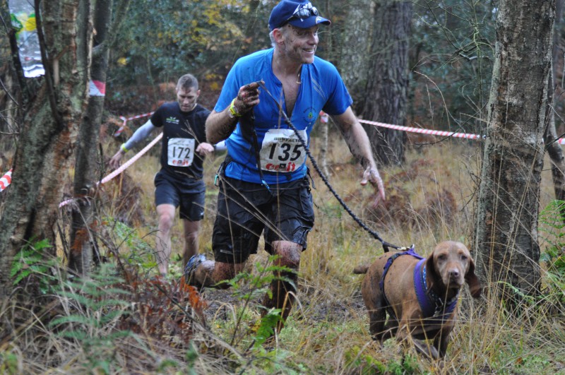 Hank the rescue dog who loves canicross