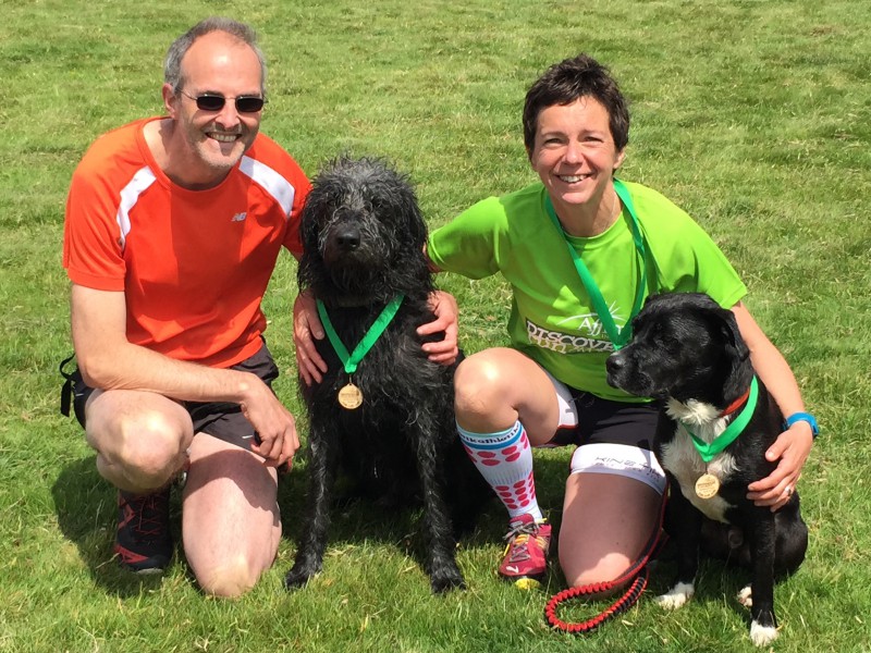 Staffie rescue and his running partner