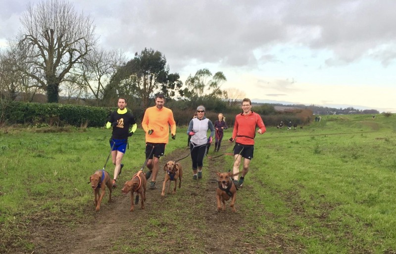 Canicross, fitness, friendship and health
