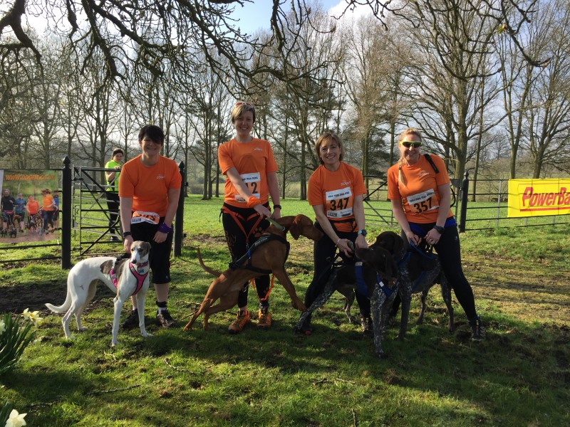 Four Canicrossers in full kit with their dogs