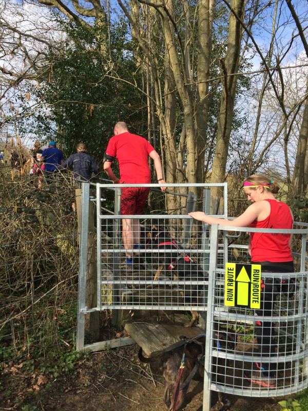Canicrossers going through a kissing gate over a small footbridge