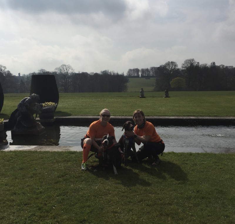 Two woman kneeling down with their Canicross dogs by a pond
