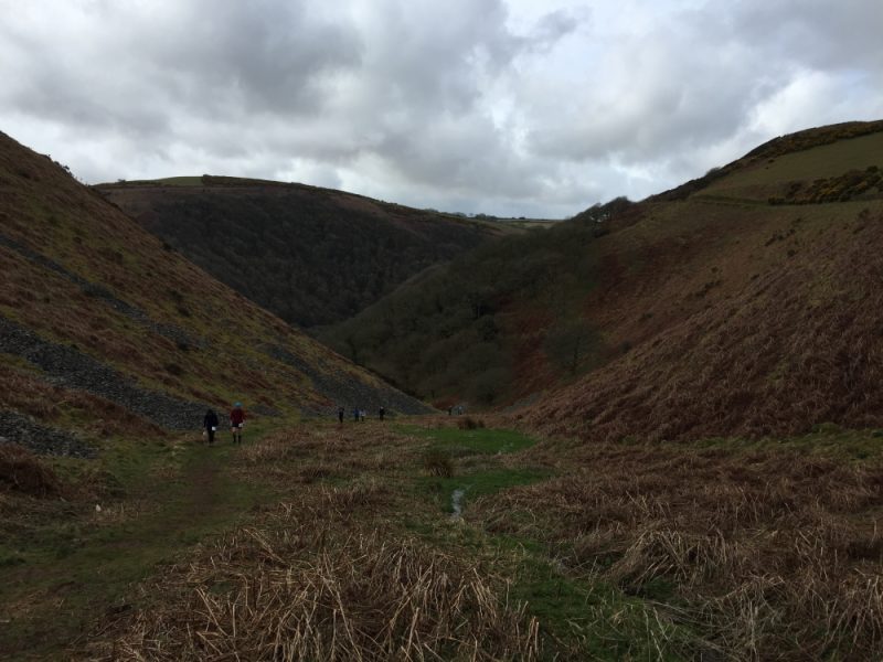 A photo of a valley in Exmoor, grass and bracken are growing on the hillside