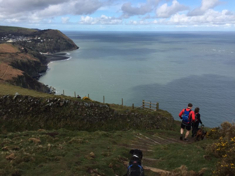 A photo of canicrossers going down steps, looking out to the sea and cliffs
