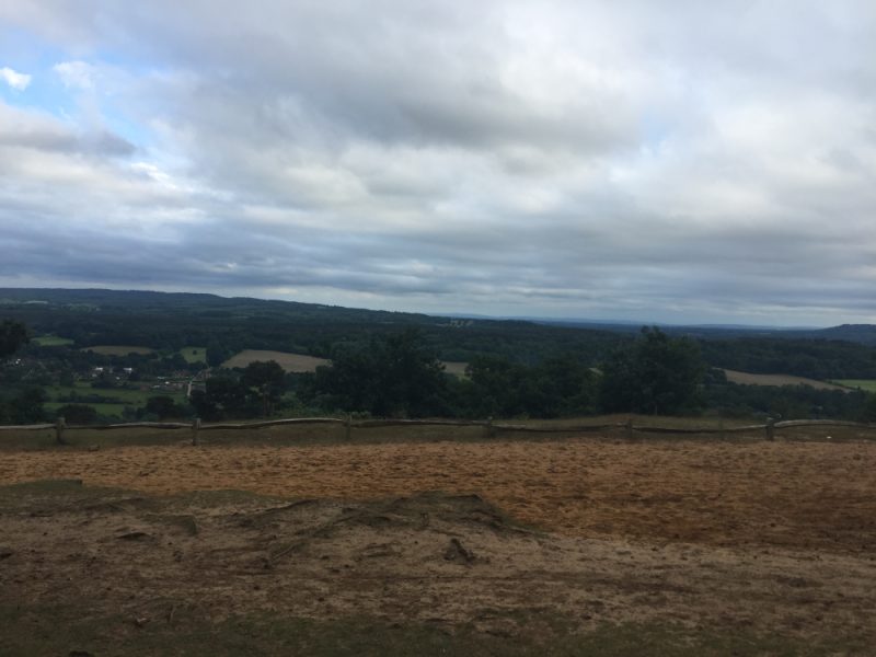 View of rolling fields and trees from St Martha's hill at Hard as Snails race