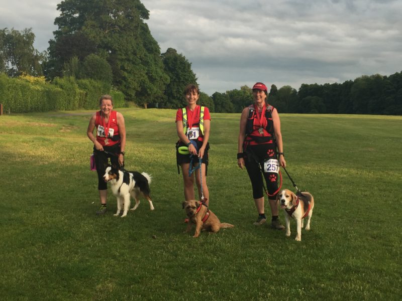 Three Woman wearing red tops and Canicross gear with their dogs, a collie, Border Terrier and Beagle