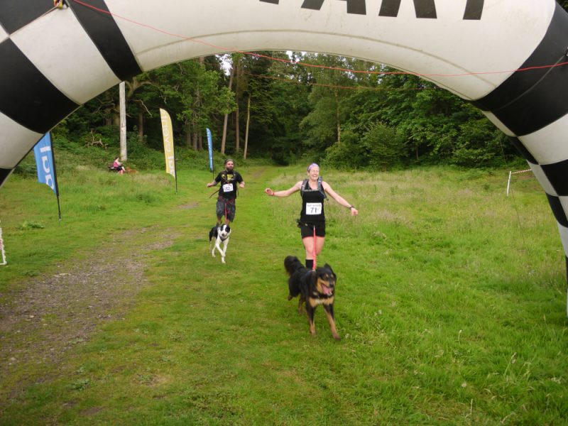 Canicrossers running over the finish line