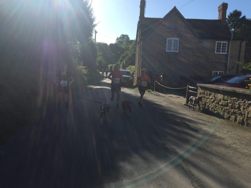 Canicrossing through a village in Sherborne Dorset 