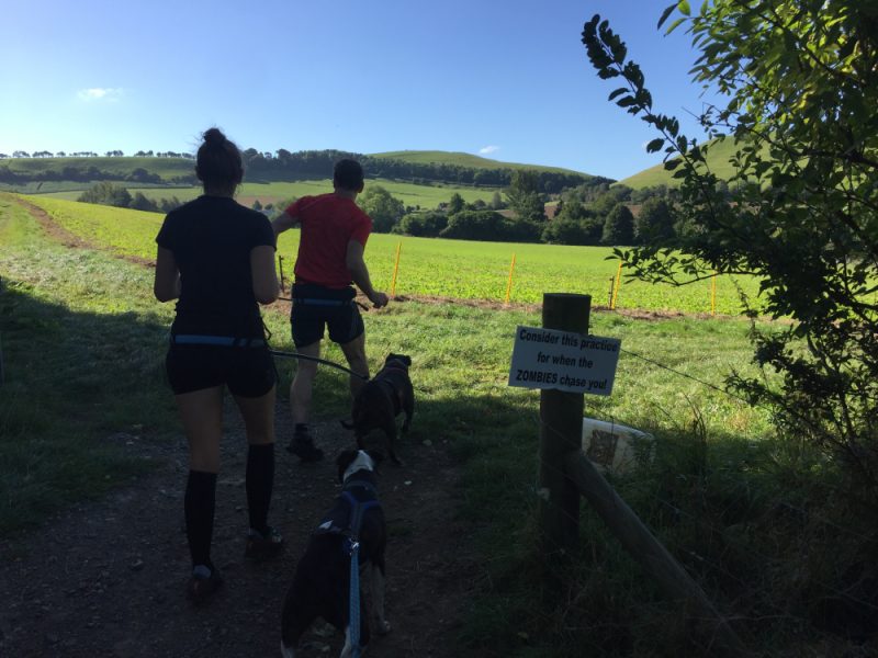 Canicrossers running into a green field with hills and blue sky in the background. a sign reads 'consider this practise for when the zombies chase you'