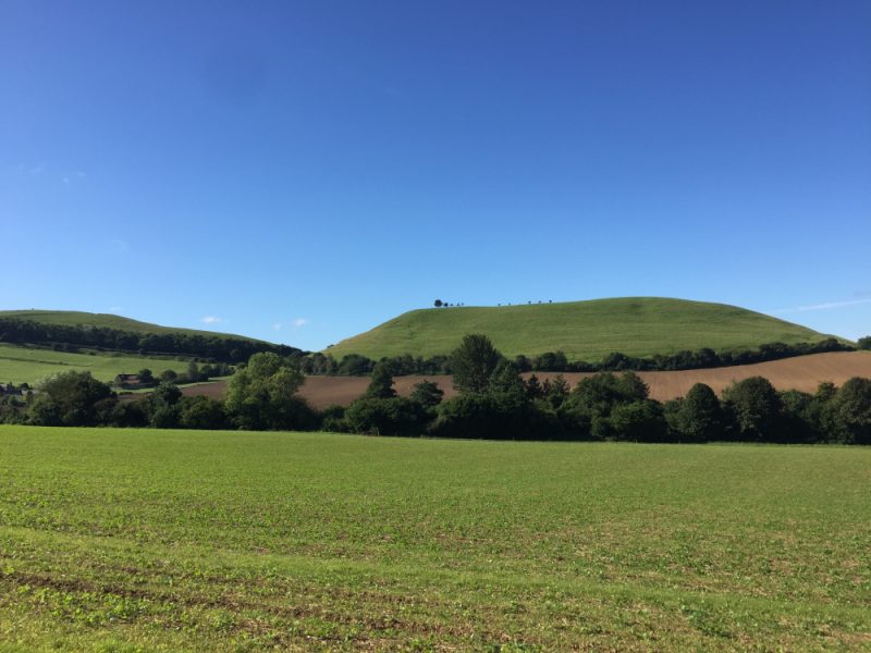A view of arable fields with a hill and trees in the distance