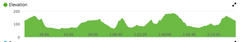 Infographic of the race elevation