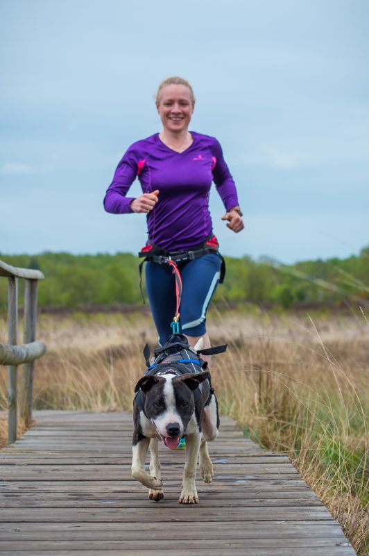 Woman canicrossing with a dog