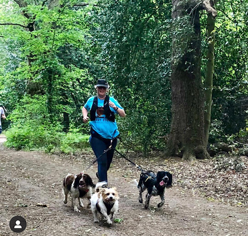 Lady Canicrossing with her dogs